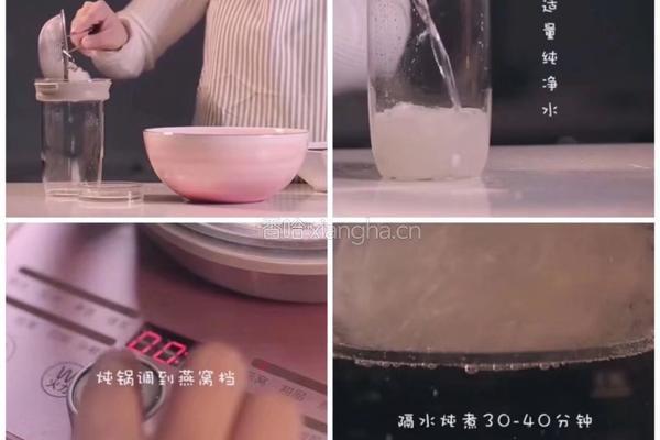 清炖燕窝的做法图解5
