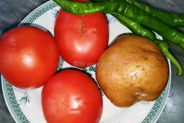 土豆番茄烩饭的做法图解1