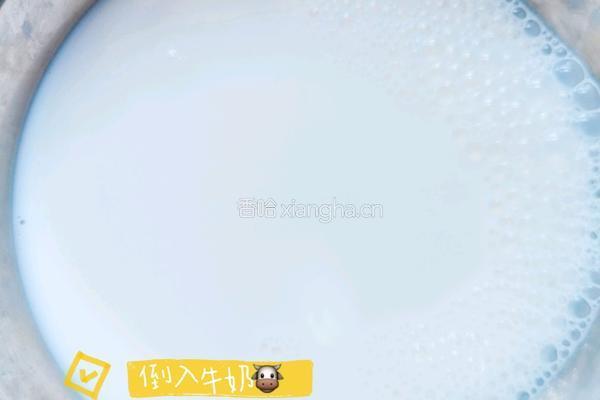 脆皮炸鲜奶（炸牛奶）的做法图解3