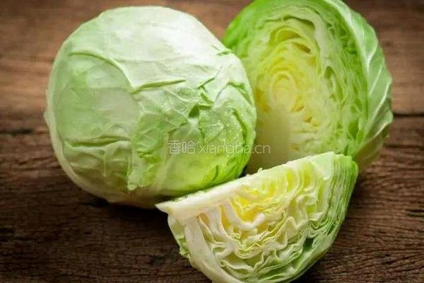 炝炒圆白菜（手撕包菜）的做法图解1