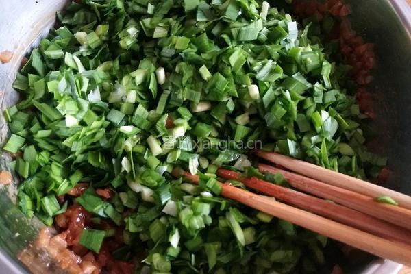 肉皮包子（肉皮韭菜）的做法图解14