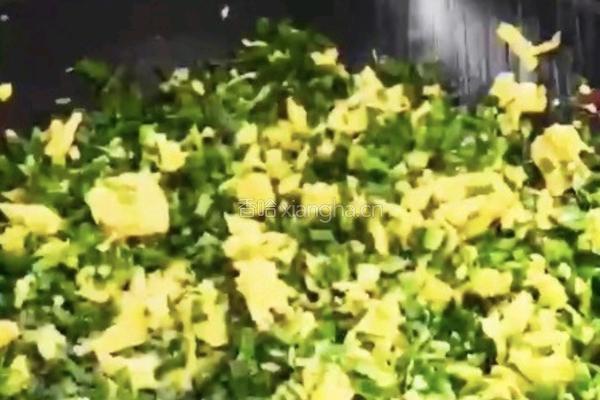韭菜鸡蛋馅饺子的做法图解8