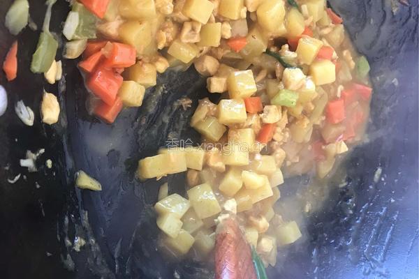 咖喱鸡肉土豆的做法图解7