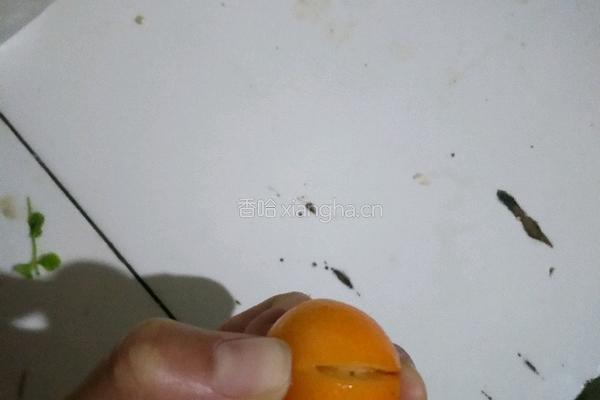 金桔糖水的做法图解2