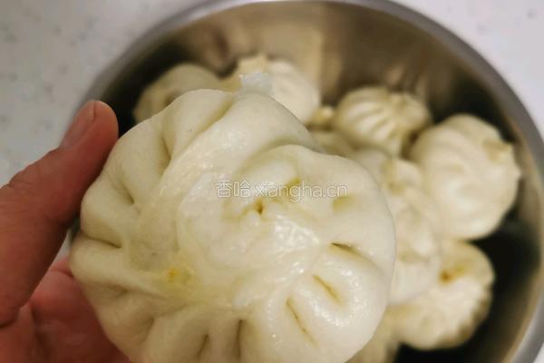 酸菜馅包子的做法图解9