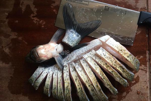 孔雀?开屏（武昌魚）的做法图解4