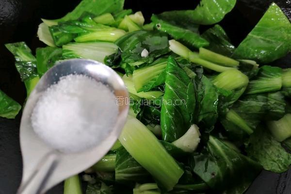 油菜豆腐的做法图解7