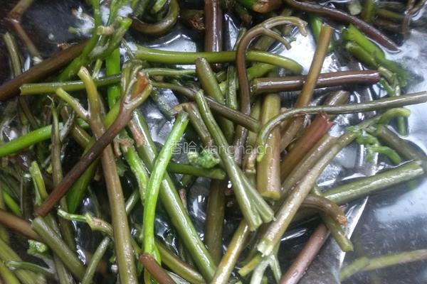 蕨菜炒腊肉的做法图解2