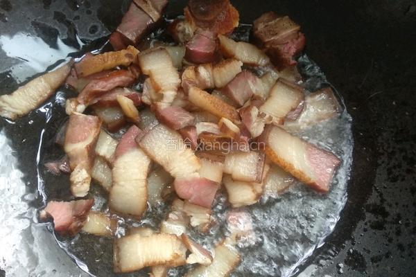 蕨菜炒腊肉的做法图解6