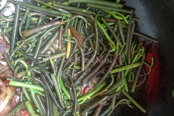 蕨菜炒腊肉的做法图解11
