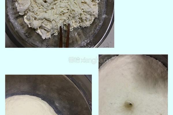 白菜猪肉包的做法图解1