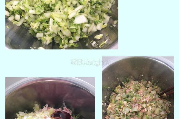 白菜猪肉包的做法图解2