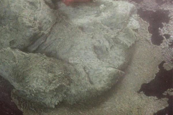 艾米果（江西特色美食）的做法图解8