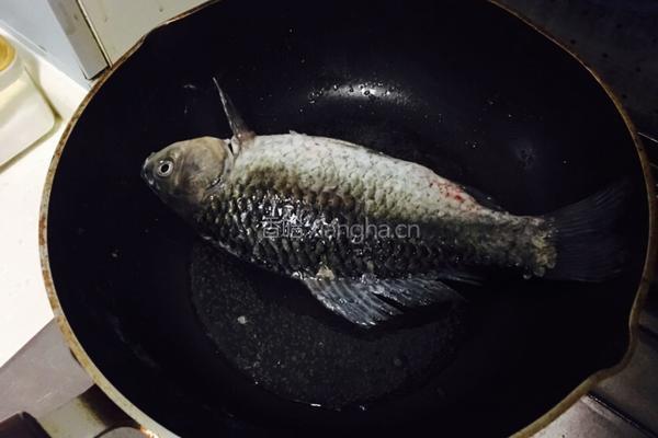 鲫鱼炖豆腐的做法图解2