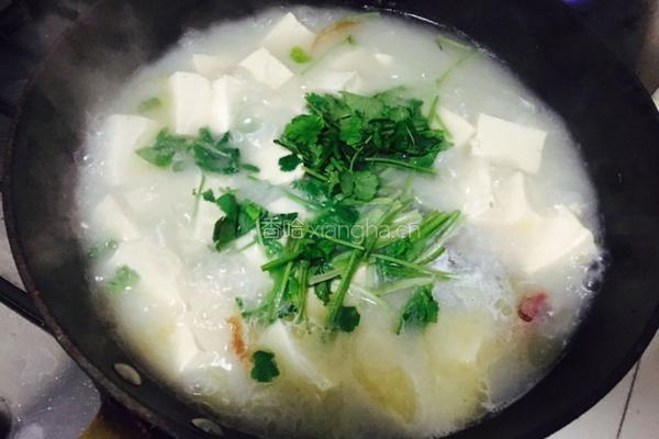 鲫鱼炖豆腐的做法图解4