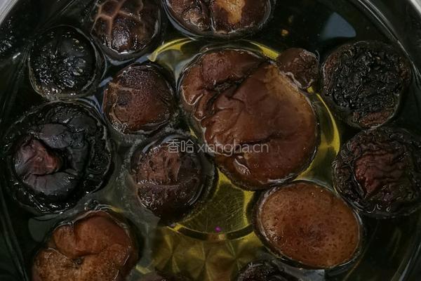 黄焖鸡的做法图解3