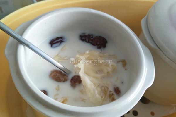 果味牛奶炖桃胶的做法图解5