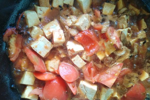 肉丝西红柿豆腐的做法图解4