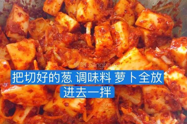 韩式萝卜咸菜的做法图解8
