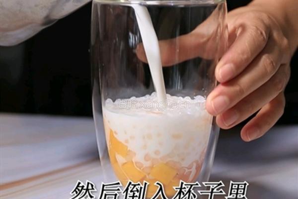 杨枝甘露热饮做法(小兔奔跑饮品培训)的做法图解9