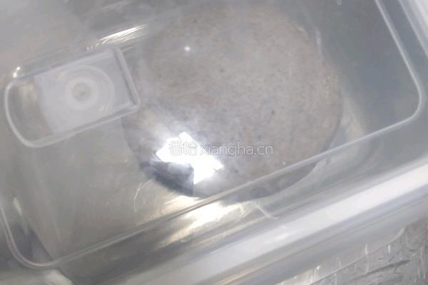 懒人快手免揉全麦小面包的做法图解9