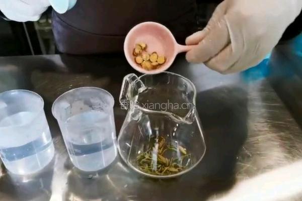 润肺茶的做法图解1