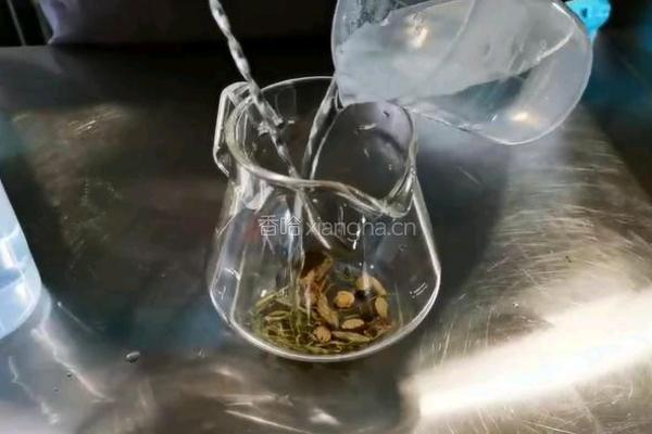 润肺茶的做法图解2