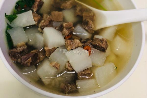 牛肉炖萝卜的做法图解14