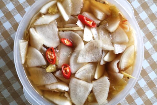 酸酸酸萝卜的做法图解4