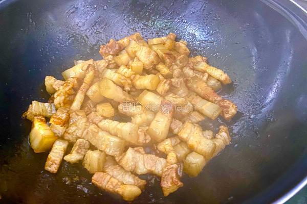 经典红烧肉的做法图解5