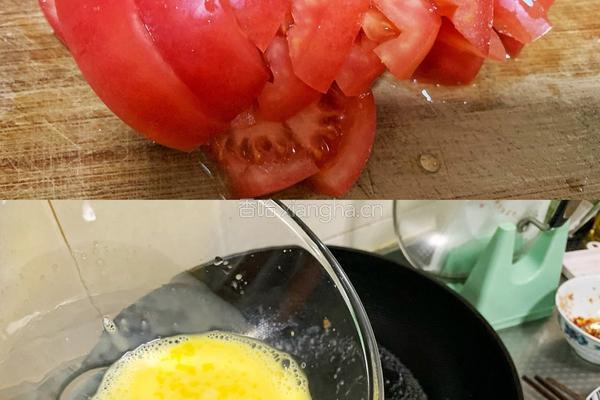 主食伴侣-番茄炒蛋的做法图解3