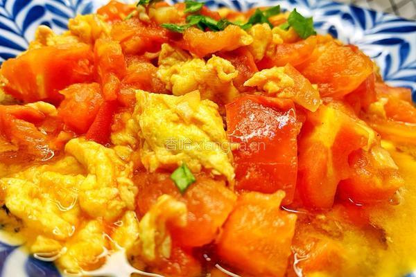 主食伴侣-番茄炒蛋的做法图解7