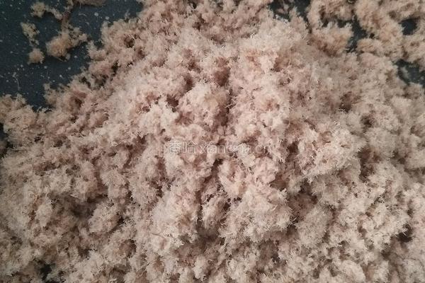 宝宝猪肉松的做法图解9