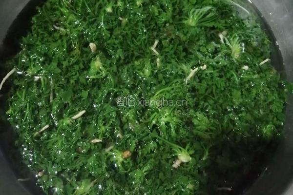 野荠菜炒鸡蛋的做法图解1