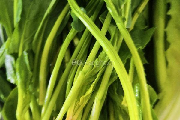 酱汁菠菜的做法图解1