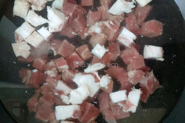萝卜炖牛肉的做法图解3