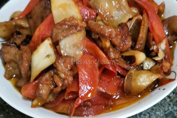 胡萝卜杏鲍菇炒肉