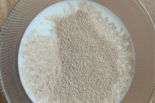紫薯玫瑰花馒头的做法图解5