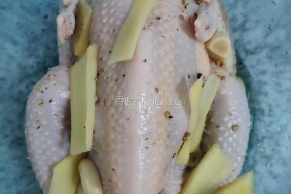 电饭锅焗鸡的做法图解2