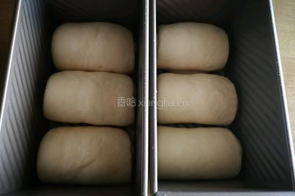 蔓越莓牛奶吐司的做法图解12