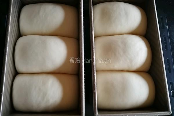 蔓越莓牛奶吐司的做法图解13