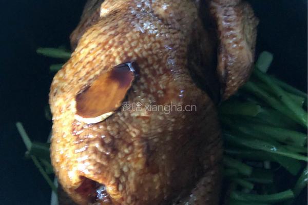 电饭煲焖鸡的做法图解9