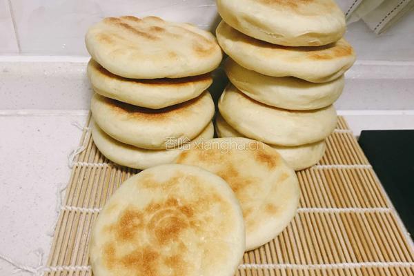 一饼夹万物