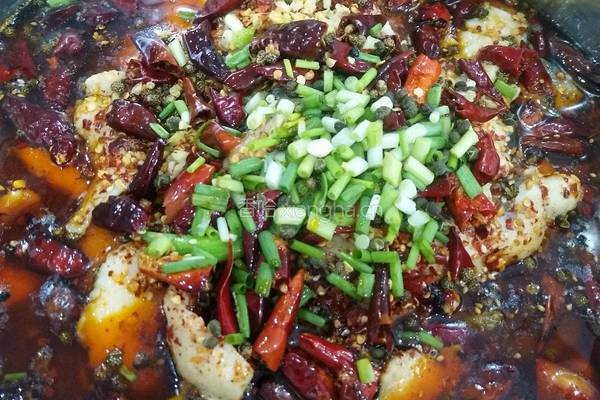 麻辣水煮鱼的做法图解8