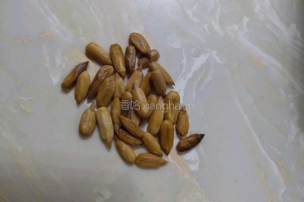 五香瓜子的做法图解9