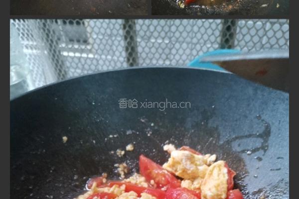 番茄鸡蛋面的做法图解4