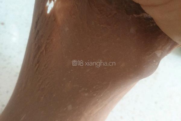 直接发酵巧克力椰蓉土司的做法图解4