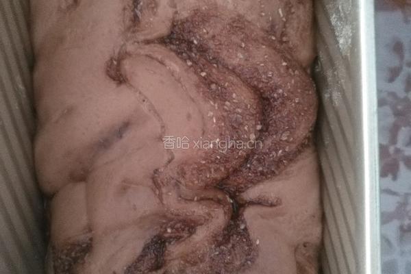 直接发酵巧克力椰蓉土司的做法图解11