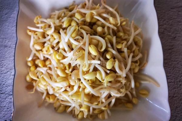 猪头肉炒黄豆芽的做法图解1