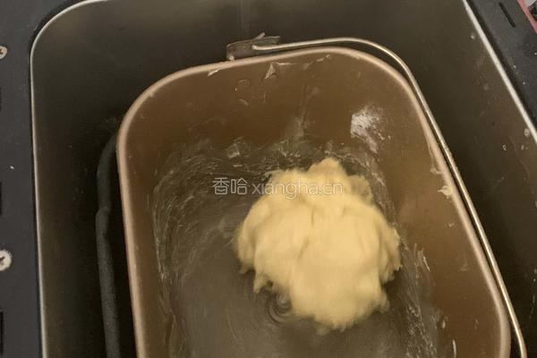 蔓越莓椰蓉包的做法图解1